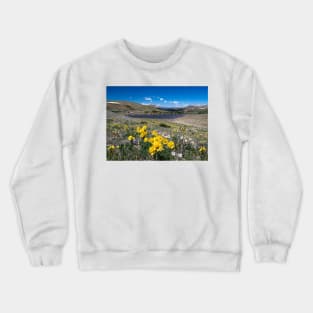 Summer in the Mountains Crewneck Sweatshirt